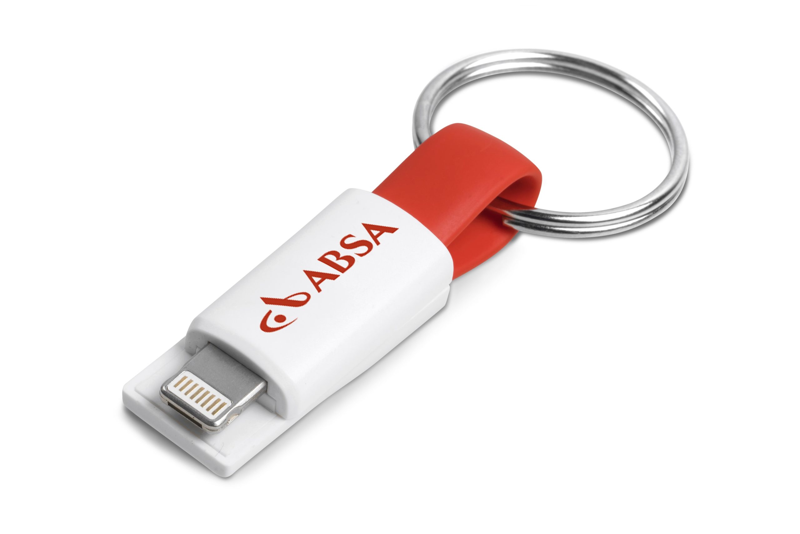 Ready-Charge 2-In-1 Connector Cable Keyholder